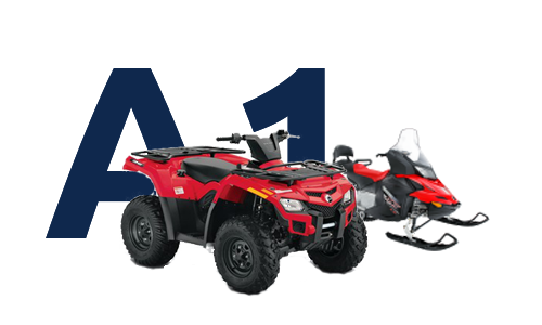 Квадроциклы и снегоходы